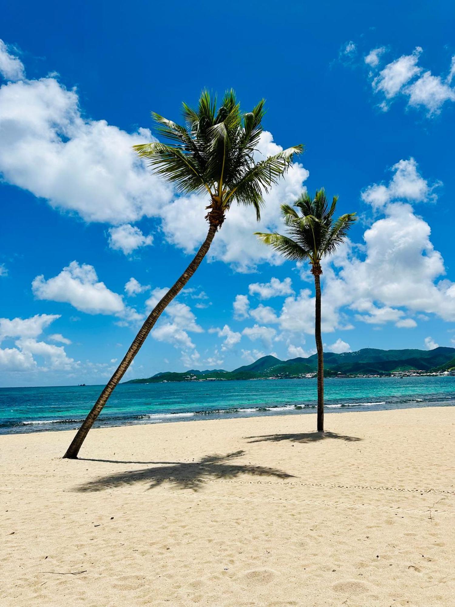 Shell Beach - Magnifique Loft Sur La Plage Baie Nettle 외부 사진